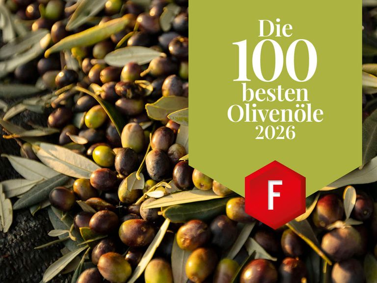 Die besten Olivenöle im Test: Der Feinschmecker zeichnet die besten Olivenöle aus Olio Award: Die 100 besten Olivenöle der Welt