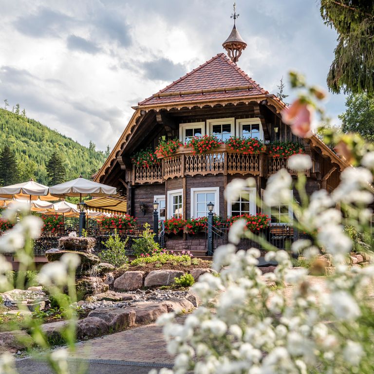 Außenaufnahme Forellenhof Buhlbach im Sommer Außenaufnahme Forellenhof Buhlbach im Sommer