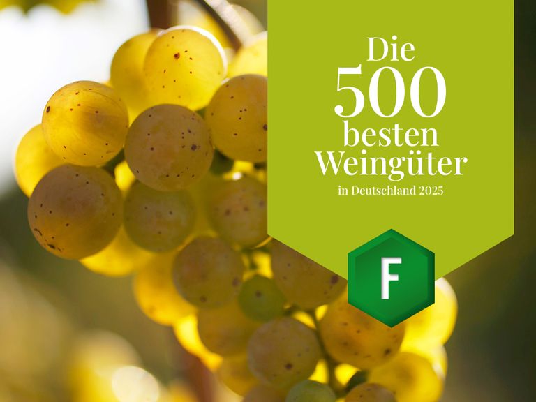 Die besten Weingüter in Deutschland die-besten-weingueter-in-deutschland