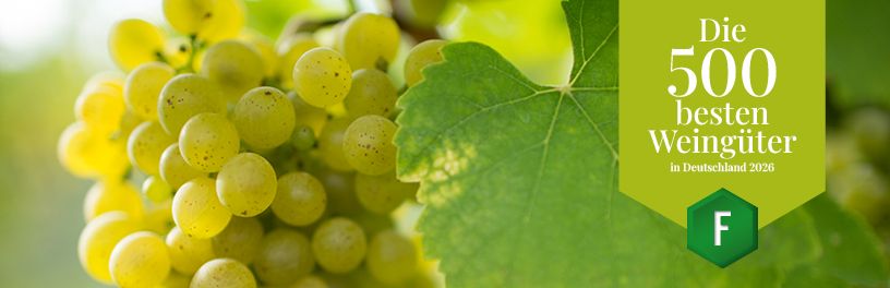 Beste Weingüter_2026_online_Banner Beste Weingüter_2026_online_Banner