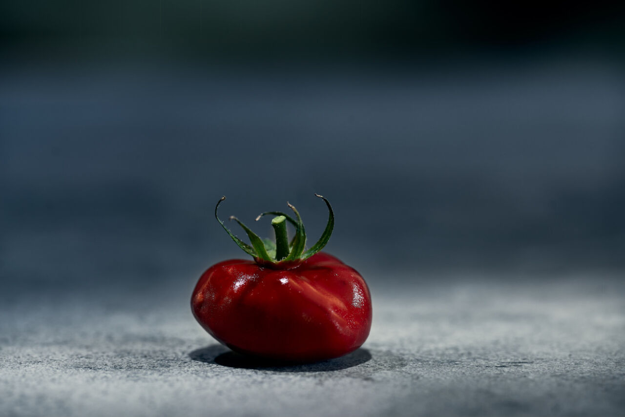 Dessert aus dem Vendôme