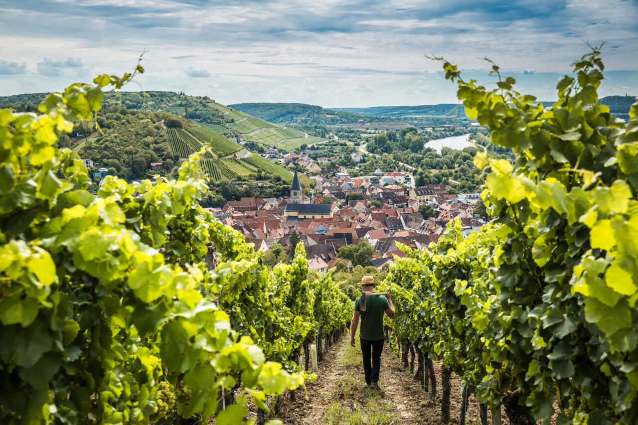 Bayern Tourismus Weingut Schenk