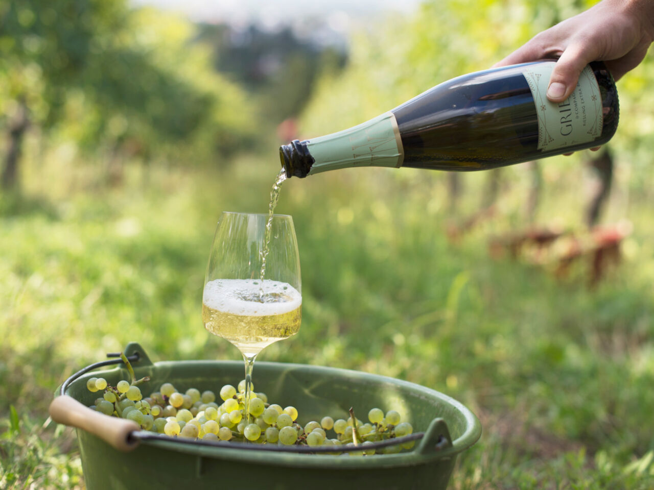 Weingut-Barth-Sekt