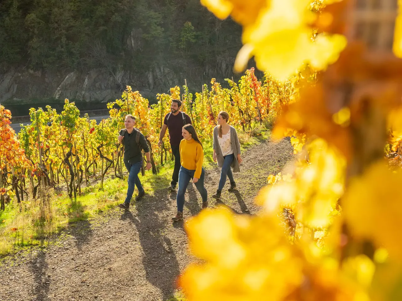 Ahrtal Laach-Wandern und Weingenuss mit Freunden