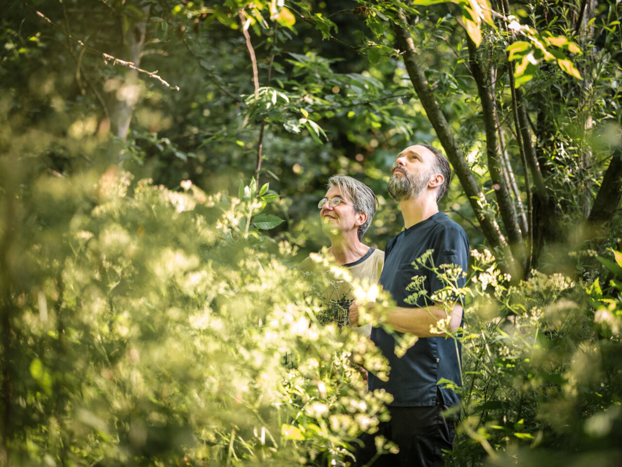 de nieuwe winkel food forest