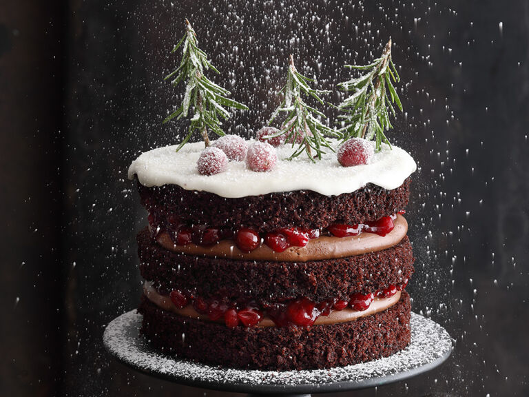  Schoko-Naked-Cake mit Cranberry-Rosmarin-Kompott