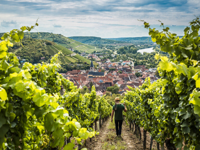 Bayern Tourismus Weingut Schenk