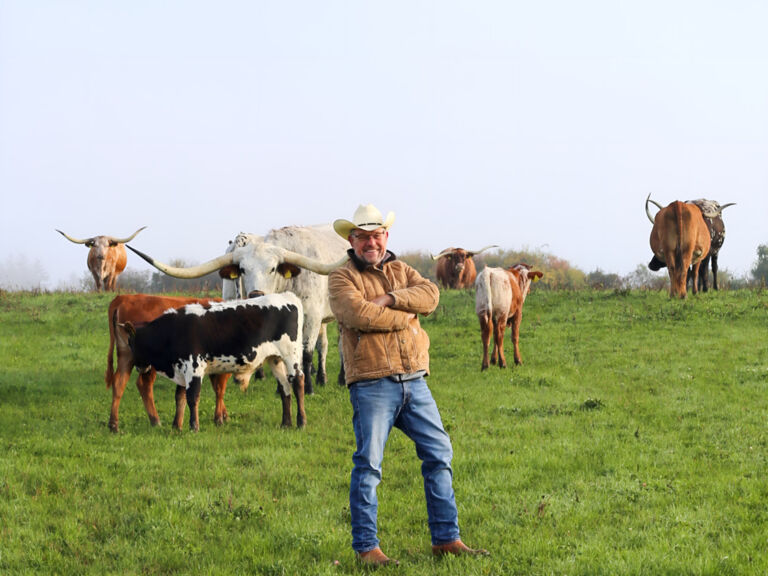 Texas-Longhorn