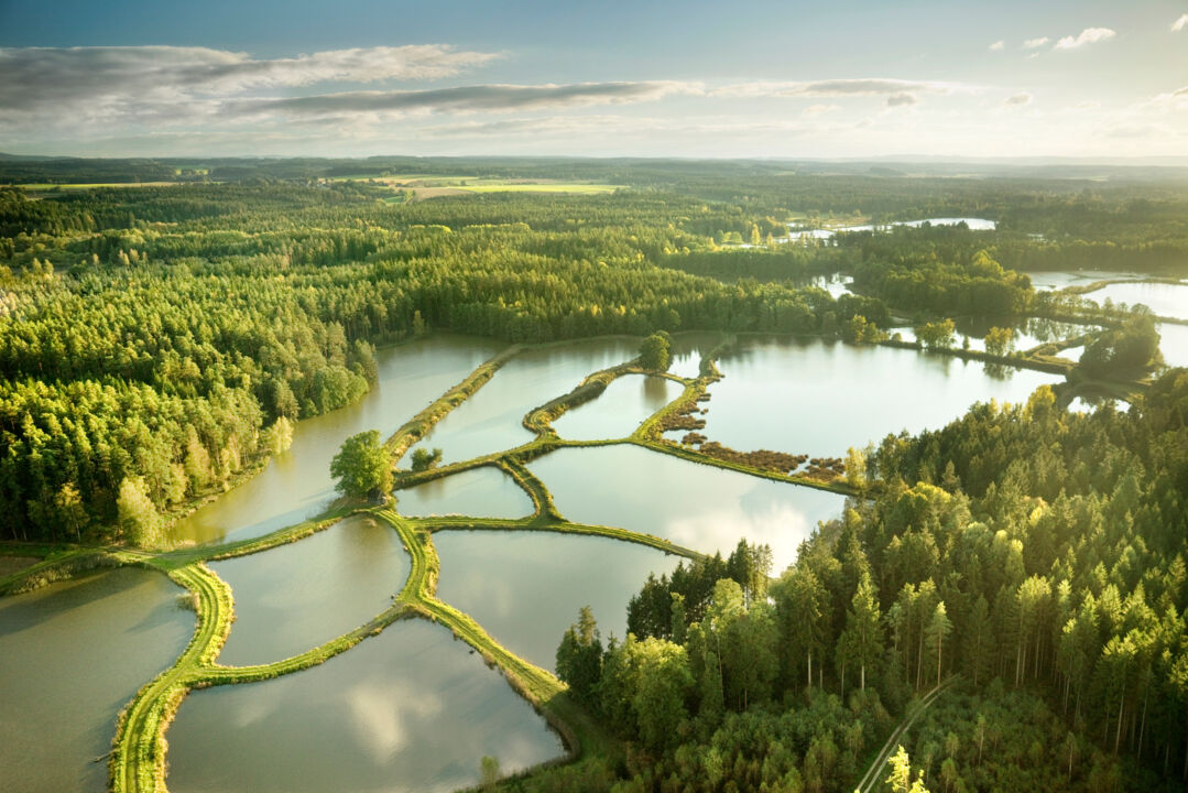 Bayern Tourismus Teichpfanne